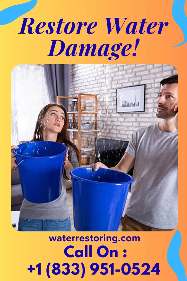 water restoration Advanced Flood Mitigation Pros Thief River Falls