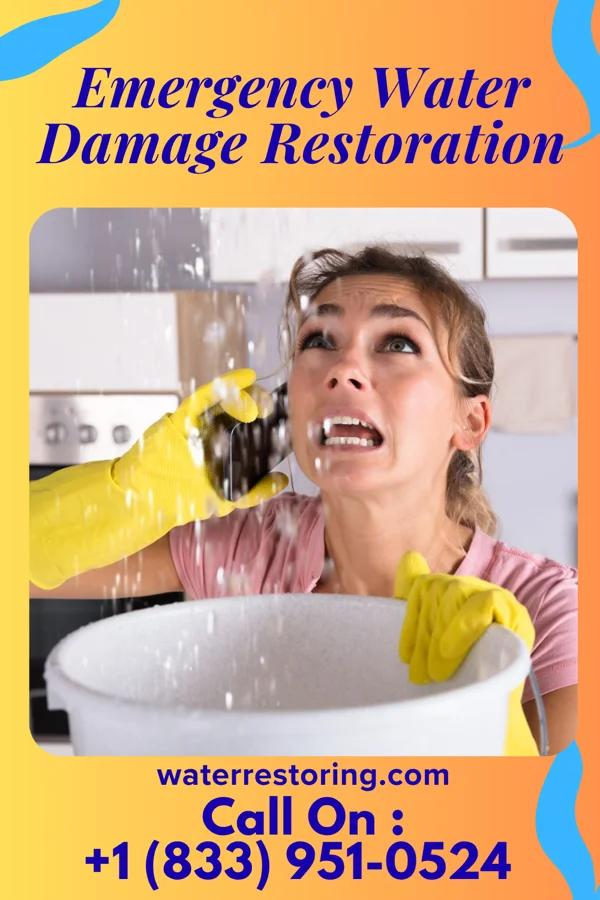 Emergency Water Damage Restoration in Thief River Falls, MN