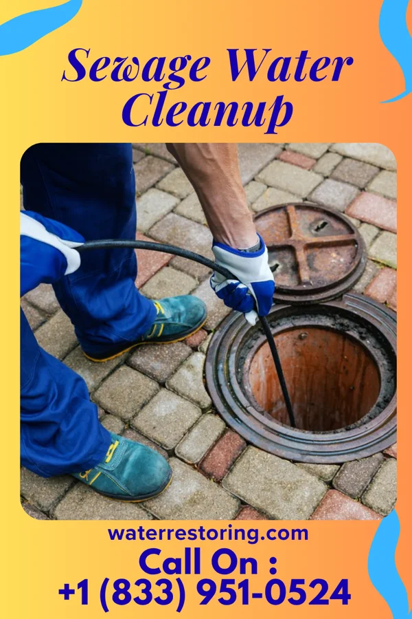 Sewage Water Cleanup in Thief River Falls, MN