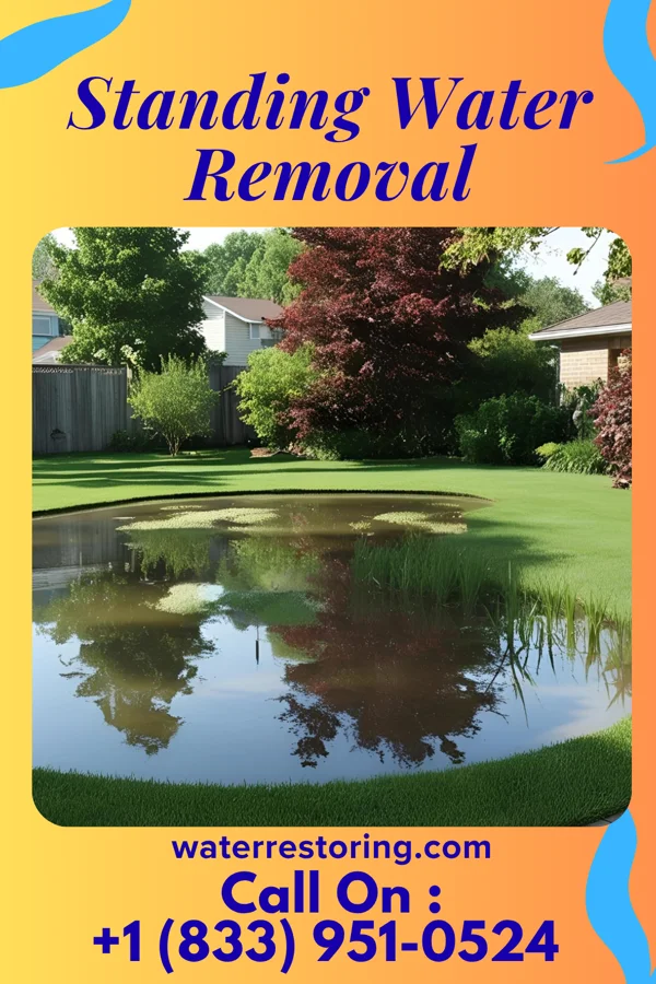 Standing Water Removal in Thief River Falls, MN